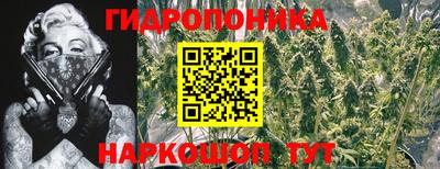 герыч Моздок
