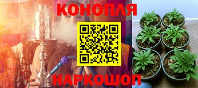 гашиш Можга