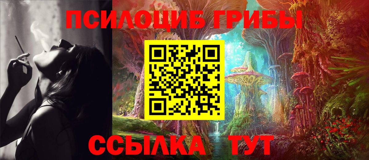 Галлюциногенные грибы ЛСД Дедовск